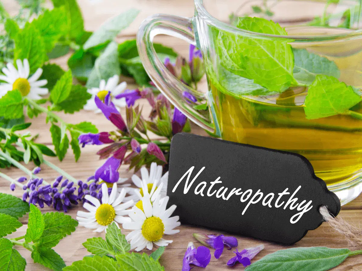 Les tendances de l’emploi dans le domaine de la naturopathie